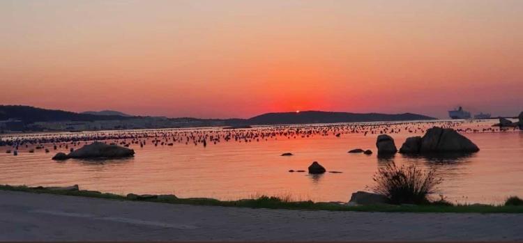 Olbia Airport Apartment Dış mekan fotoğraf